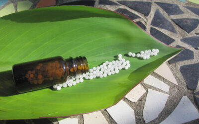 From the Local to the Global